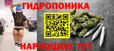 ALPHA-PVP Новозыбков