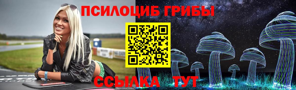 Галлюциногенные грибы MAGIC MUSHROOMS Верхняя Пышма